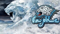 Никто в обморок не падал – ХК "Барыс" объяснил заклание барана на арене