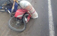 Велосипедиста убило молнией в Восточном Казахстане