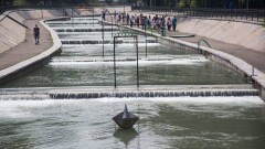 Водные инсталляции появились на реке Есентай и фонтане "Неделька"