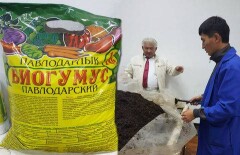 8 млн червей съедают весь мусор в павлодарском университете