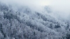 Осадки сохранятся на большей части страны 12 января