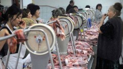 Торговлю и ремонт автомобилей назвали самыми популярными отраслями в Астане