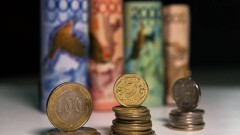 Как не стать жертвой финансовой пирамиды