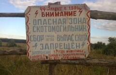 В МСХ нашли способ, как решить проблему со скотомогильниками