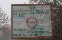 Комитет госдоходов предупредил Иле-Алатауский национальный парк за невыдачу чеков