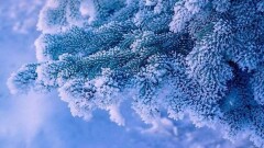 Қазақстанда ауа температурасы 40 градусқа дейін төмендейді. Жаңалықтарға шолу 