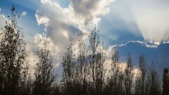 Синоптики рассказали, какой будет погода в среду, 28 марта