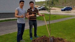 В Алматы сотрудники ЖССБК посадили деревья во дворах домов клиентов банка