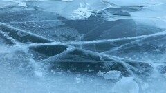 В Павлодаре спасли детей, оказавшихся на тонком льду на Иртыше