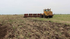 Ограничить выдачу земли сельхозназначения юрлицам намерены в Казахстане
