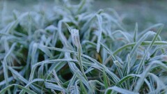 Прогноз погоды на 5 мая: ночные заморозки ожидаются на севере Казахстана