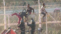 Больше 150 нелегальных мигрантов смогли пересечь границу между Марокко и Испанией