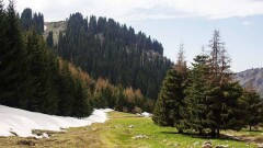 Незаконно выданную акиматом землю на Бутаковке в Алматы вернули государству