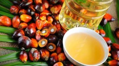В 80% случаев пальмовое масло обнаруживают в импортируемых в РК продуктах