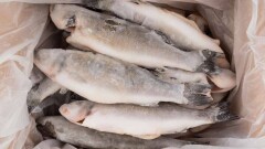 В Ухане начали расследование после обнаружения коронавируса на упаковках импортных продуктов