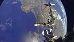 Российские космонавты вырастят на МКС болотную траву