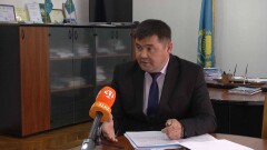 В Павлодаре арестовали главу областного управления сельского хозяйства
