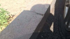 Акимат Алматы ответил горожанам по проблеме острых краёв бордюров