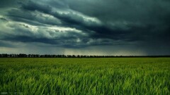 Прогноз погоды на 15 мая: ожидаются дожди, на юго-западе – сильные 