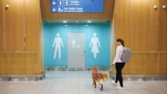 Туалеты для собак открыли в аэропорту Хельсинки