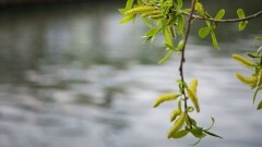 Прогноз погоды на 17 апреля: дожди пройдут почти на всей территории страны