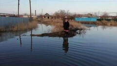  Паводок затопил несколько улиц в Семее