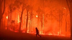 Число жертв лесных пожаров в Австралии достигло 18 человек