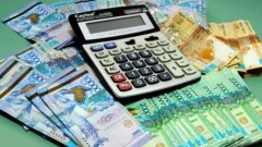 Под налоговую амнистию попадают 19 тысяч предпринимателей в Алматы