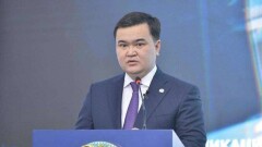 Решать проблемы, а не плодить отписки – Женис Касымбек раскритиковал акимов