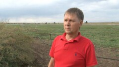Фермер из Алматинской области жалуется на шантаж сахарной свёклой