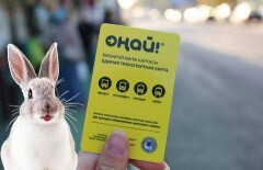 Алматинцы нашли способ ездить на автобусе без карты "Оңай"