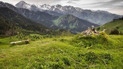 Как изменится экология Алматы из-за строительства курорта на Кок-Жайляу