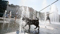Прогноз погоды на 19 августа: на юг и запад Казахстана вернулась сильная жара