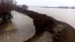 Отказаться от строительства дамбы предложили жители Атбасара