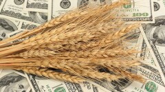 "КазАгро" увеличит "Цеснабанку" срок выплаты долга в 170 млрд тенге ещё на 15 лет
