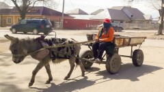 Есек арбаға таңылған тағдыр