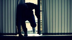В Костанайской области подозреваемый в убийстве покалечился, убегая с места преступления