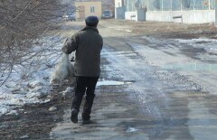 Начальник отдела акимата Усть-Каменогорска лично отстреливает бродячих собак