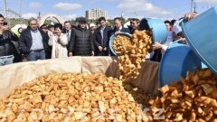 Тонну бауырсаков напекли в Шымкенте ко Дню города