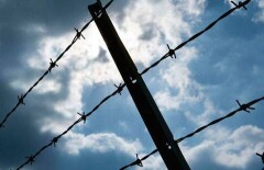 Правительство РК посчитало, сколько денег выплатило жертвам политических репрессий