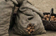 Жителю ВКО за кражу картошки и банок с вареньем грозит 5 лет колонии