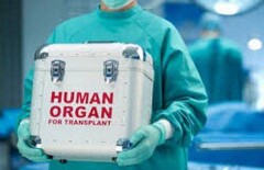 Покупательницу человеческой почки осудили в Астане