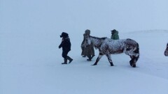В ЮКО четверо суток лесники блуждали в горах во время метели