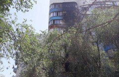 Жители многоэтажного дома в Алматы покинули свои квартиры из-за пожара 