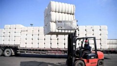Логистические компании в Синьцзяне возобновили работу