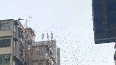 В Гонконге арестовали бизнесмена, разбрасывавшего на улице деньги