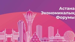 Астанинский экономический форум обойдётся вдвое дешевле, чем в прошлом году