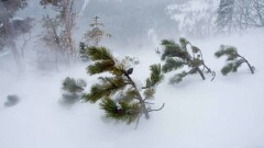 Прогноз погоды на 24 февраля: по Казахстану ожидаются метели