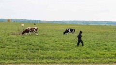 "Елден жырақ жерге апарып, үш ай бойы сиыр бақтырды" деп бастады әңгімесін Рамазан