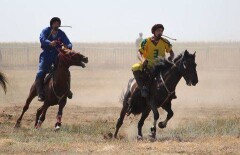 На чемпионате РК по конным видам спорта кони падали вместе с наездниками